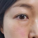 에녹 | 속건조 피부장벽템 에녹 데일리 배리어 속광크림 사용 후기