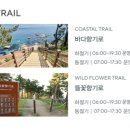속초 롯데리조트 콘도형 후기+ 일출장소, 빠른체크인