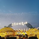 GS 25 전남고흥점 | 전남 고흥 2025 고흥유자축제 방문 후기