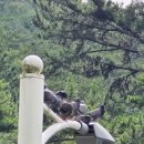 남목노인복지관 이미지