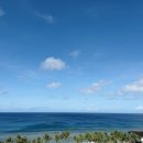 (주)파마뷰 이미지