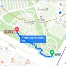 들꽃마루 | 올림픽공원 들꽃마루 양귀비 개화 현황! 서울 6월 꽃구경 명소 추천