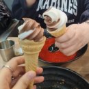 개신나 | 벚꽃이 폈기 때문에 신나