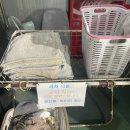 청구셀프세차장