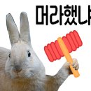 서울헤어샵 네이버블로그