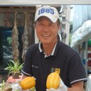 좋은친구보육원 이미지