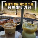 서울애견 | 가평 분위기 좋은 카페 몽브레뉴 _ 내돈내산 애견동반 자연뷰 힐링 코스