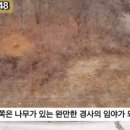 G1148 이미지