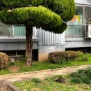 이마트24 김제금구점 | 어떠한 일이 일어나도 우리의 시간은 지나간다