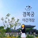 2025 경복궁 야간개장 예매 주차, 서울 주말 아이랑 가볼만한 곳, 데이트장소