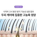 헤어 엔 이미지