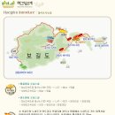 보길해그림펜션
