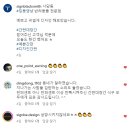 딩동댕냥