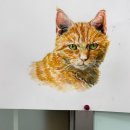 해솔 초등학교 이미지