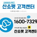 [강아지 고양이 산소방/산소발생기] CU메디칼 x 산소펫 사용후기