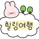 도그버디 이미지