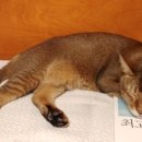 M&M 휘트니스 이미지