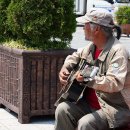 대숲여행 이미지