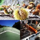 초리골펜션 이미지