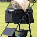 초이스펫 이미지