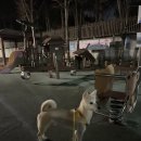 능동소공원 이미지