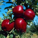 좋은날만 이미지