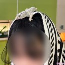 24시정동진회식당 | ✴︎강릉✴︎ 겨울바다 보러간 정동진 1박2일 여행 코스 I 강릉여행