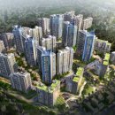 대조-010 이미지