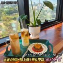 서산약국 | 서산 카페 디저트맛집 동문동 코너스톤12 코코넛커피 판나코타 푸딩 후기