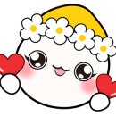 뉴엘헤어 이미지
