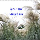 태안 청산 수목원 및 백사장항 여행(10/2 토) 이미지