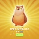 후투