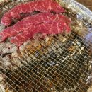 초록수채화