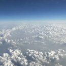 연동입구 (오라3동방면) | 아이와 함께 2박3일 히로시마 여행 호텔 인터게이트 숙소추천!히로시마 공항에서 시내 갈때 리무진버스