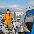 김제광활간척지쌀 이미지