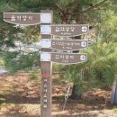 버그내순례길 네이버블로그