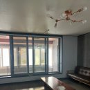 청벽거북 이미지