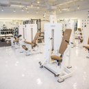 더 피티 이미지