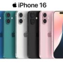 16 이미지