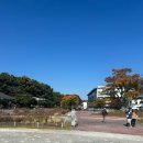 자몽샌드위치 | 과천 렛츠런파크 •아이들과 가볼만한 곳 / 경마장 20-40 이색 데이트 코스