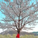 강촌강변마을 이미지