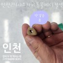 인천 24시 스카이동물메디컬센터 이미지