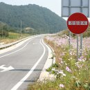 일방통행 이미지