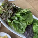 강길도낙지마을 | 대전 송촌동 낙지덮밥&amp;유기농 쌈채소 무한리필 ‘강길도 낙지마을’ 방문후기