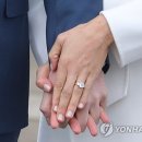 해리컴퍼니 이미지