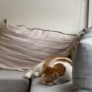 MUNE(무네) 이미지