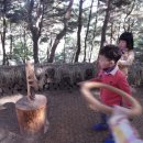 옥계동부초등 병설 이미지