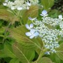 반포제일한의원 이미지