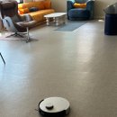 종달 홀라인 이미지