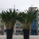 성화난원